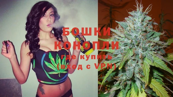 крисы Белокуриха