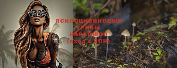 хмурый Богородск