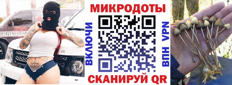 Галлюциногенные грибы GOLDEN TEACHER  Купить закладки  Усть-Илимск 